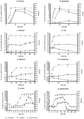 In vitro evaluation of microbial D- and L-lactate production as biomarkers of infection